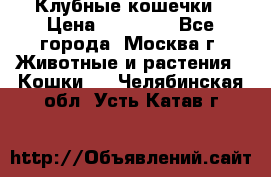 Клубные кошечки › Цена ­ 10 000 - Все города, Москва г. Животные и растения » Кошки   . Челябинская обл.,Усть-Катав г.